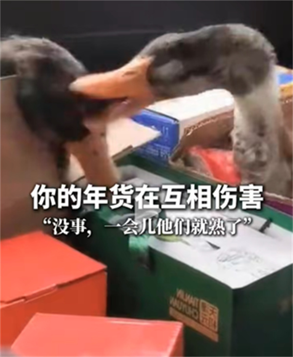 ���Ӹ���40�治�ˣ��ζ����ס��ˣ�ҽ������׷�ʼ������ҳ�