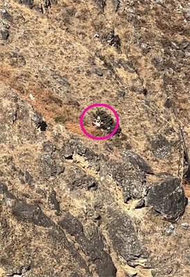 ���������ͯ�ڻ���Ͽ׹�²�������