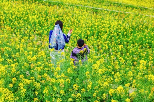 ��ɽ�л����׶�԰�����ִ����·��� ͯ�����ޡ���������