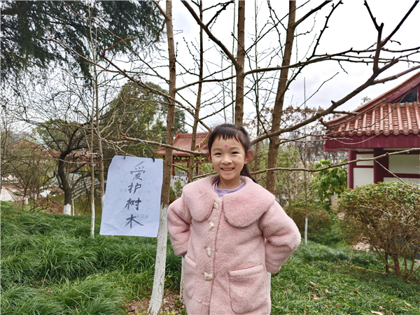 �������׶�԰��ֲһĨ���̣��ػ�һ������