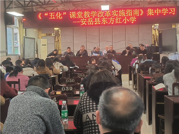 ������Сѧ������ѧϰ�����ν�ʦרҵ����