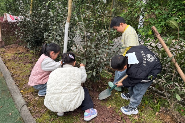 ͯ��ֲ�̣�ӵ������ �崨��ʵ���׶�԰��չֲ�����������