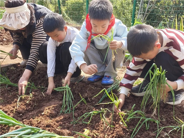 ����С���£������ִ��⣬�Ͻ�Сѧ�óɳ�������������