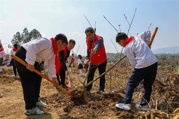 ���л������ģ�����Сѧʦ��������ɫ��