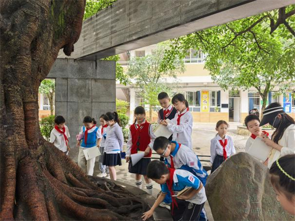 ֲ������ ���ջ�԰ �����ر���Сѧѧ����������С��ʿ