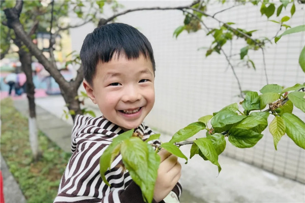 С�������⣬�ɶ���ʮ�������޺����硰�ɳ����ڴ�����