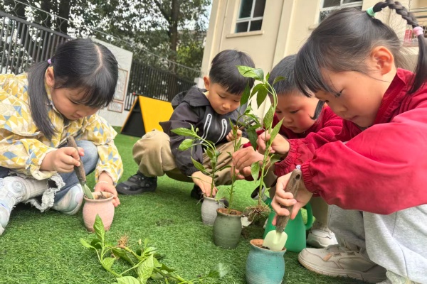 �ڡ��������⡱�Ĵ������ɽ�л����׶�԰��������������С��ʿ��