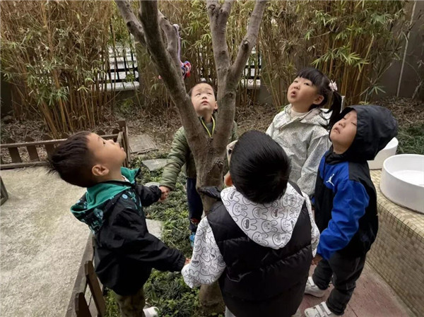 ��ֲ�������̣��������츮�׶�԰����԰����ͯ����������ϣ��