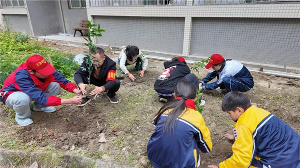 ������������ѧУ��չ�����̡����̡�ֲ�̡�ϵ�����������