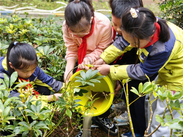 ˫ˮСѧ���������������̣����Ľ������ɳ�