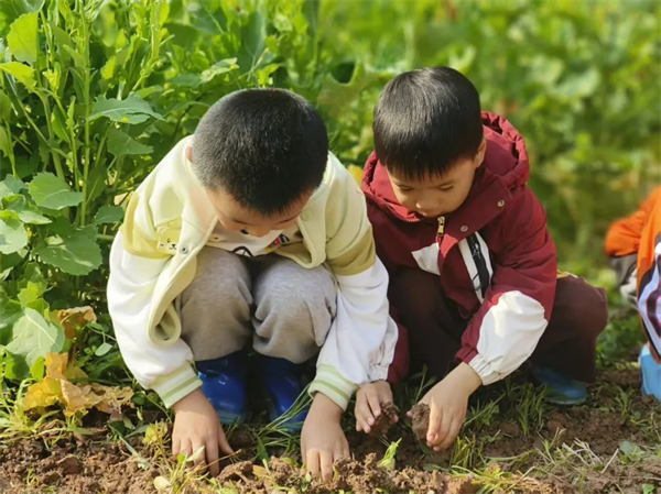 ���ֲ���ڣ���ѿ�׶�԰�������¡����족