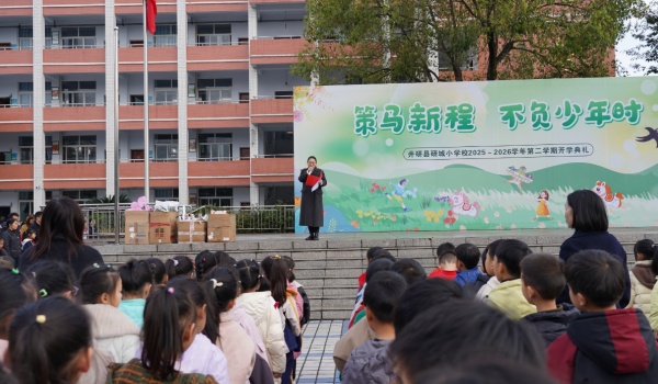 �������г�СѧУ����������ʽ�߱�����